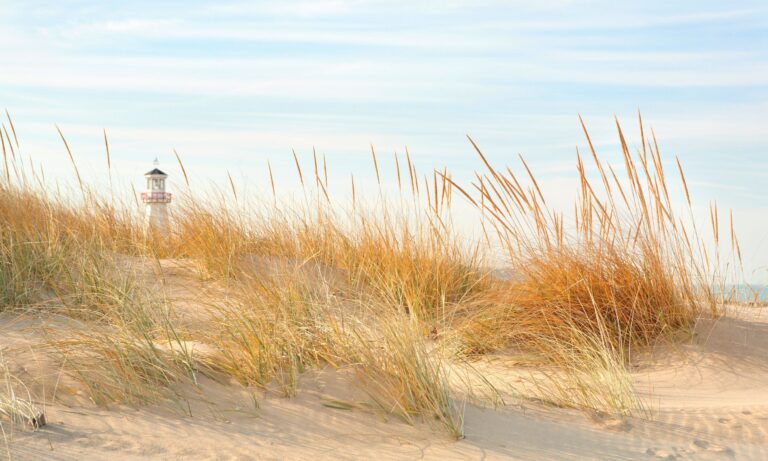 12 Best Restaurants In Florence, Italy